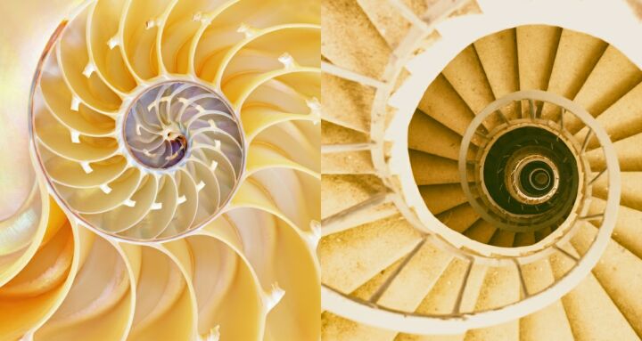 Editörün Pazar Seçkisi: "Geleceği İnşa Etmek: Biyomimikri"